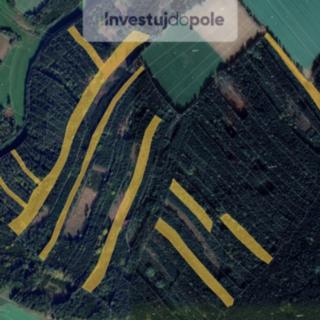Prodej lesa 111477 m² Moraveč