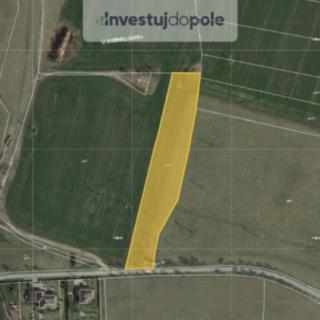 Prodej zemědělské půdy 987 m² Olbramovice Zahradnice