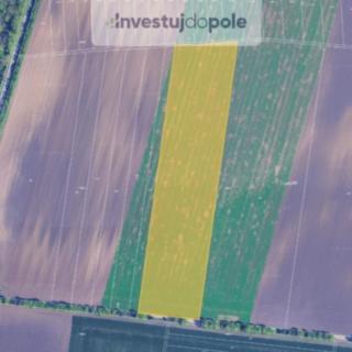 Prodej zemědělské půdy 31775 m&sup2; Sokolnice