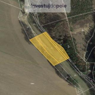 Prodej zemědělské půdy 2628 m&sup2; Slapsko