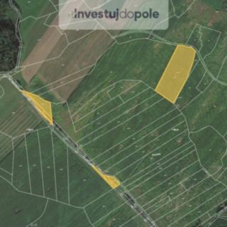 Prodej zemědělské půdy 12 273 m² Skořice