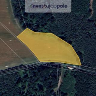 Prodej zemědělské půdy 5 421 m² Kropáčova Vrutice Kojovice