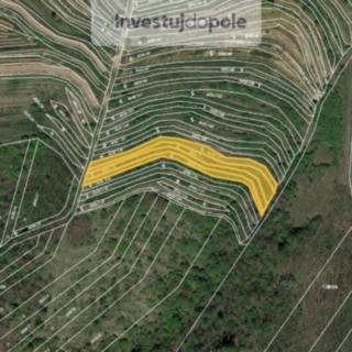 Prodej zemědělské půdy 1606 m&sup2; Hustopeče