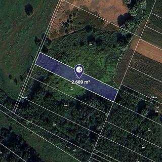 Prodej louky 2689 m&sup2; Moravský Písek