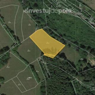 Prodej louky 3083 m&sup2; Vsetín