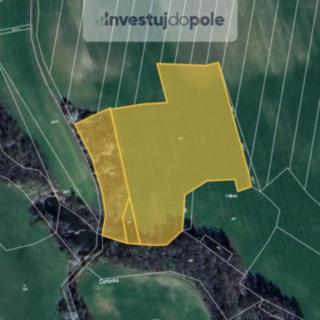 Prodej zemědělské půdy 19 849 m² Podhořany u Ronova Nový Dvůr