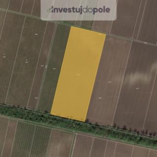 Prodej zemědělské půdy 31 401 m² Novosedly