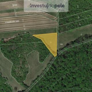 Prodej louky 2605 m&sup2; Horní Věstonice