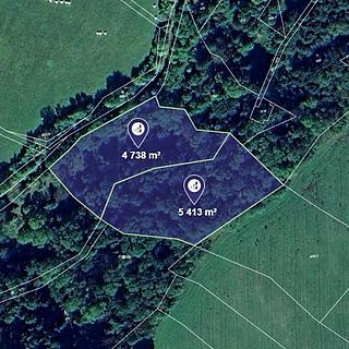 Prodej lesa 10151 m&sup2; Lovečkovice