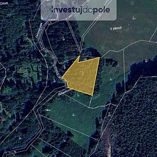 Prodej lesa 4042 m&sup2; Prosíčka