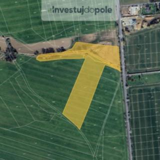 Prodej podílu zemědělské půdy 10929 m² Struhařov