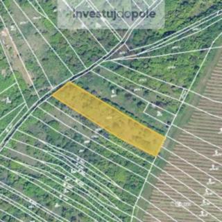 Prodej zahrady 1973 m&sup2; Židlochovice