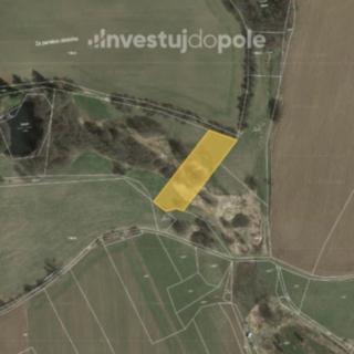 Prodej louky 3009 m&sup2; Buřenice