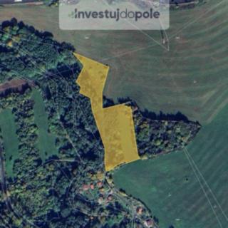 Prodej louky 13 976 m² Krásný Les Damice