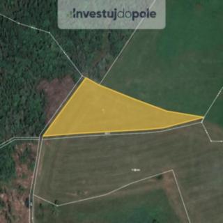 Prodej louky 5 115 m² Měděnec Horní Halže