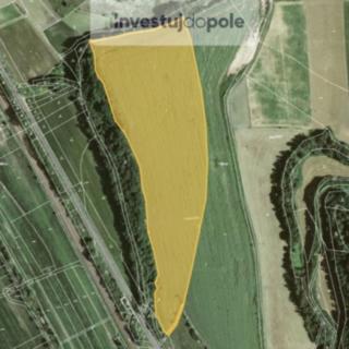 Prodej zemědělské půdy 63481 m&sup2; Skrchov