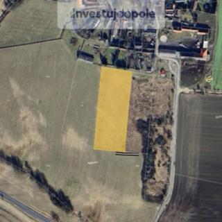 Prodej zemědělské půdy 757 m² Planá Týnec