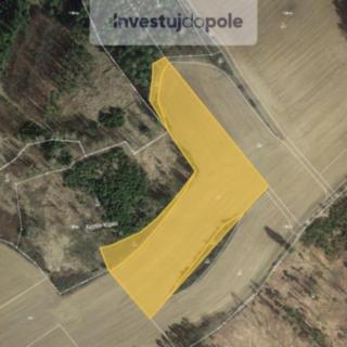 Prodej louky 13670 m&sup2; Pravonín