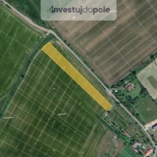 Prodej podílu zemědělské půdy 2045 m² Věžky