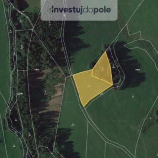 Prodej louky 4007 m&sup2; Stará Paka