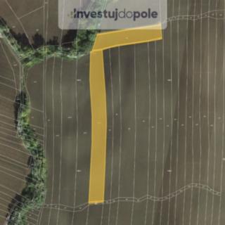 Prodej zemědělské půdy 2 150 m² Mutějovice