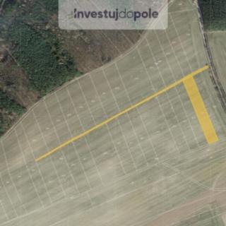 Prodej zemědělské půdy 3012 m&sup2; Hřebečníky