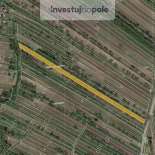 Prodej zemědělské půdy 2 490 m² Kobylí