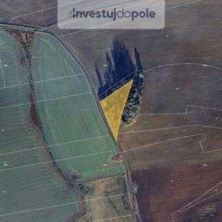 Prodej ostatních pozemků 2938 m&sup2; Škvořetice