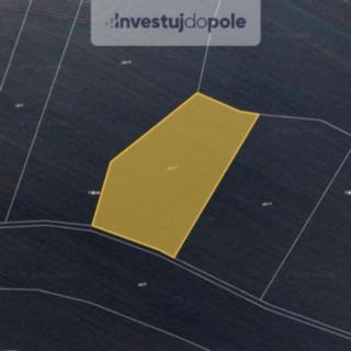 Prodej zemědělské půdy 8228 m&sup2; Bítouchov