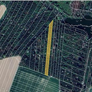 Prodej lesa 5151 m² Tísek