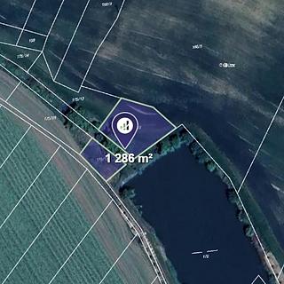 Prodej zemědělské půdy 1286 m&sup2; Blanné