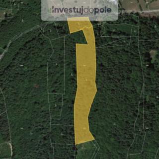 Prodej lesa 21 494 m² Všemina