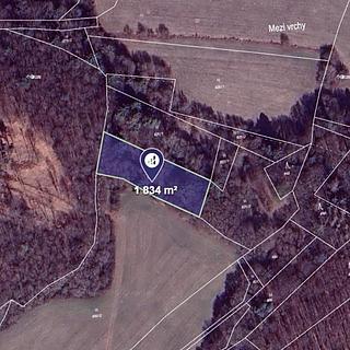 Prodej louky 1834 m&sup2; Ludmírov