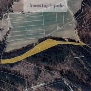 Prodej lesa 13682 m² Volfířov