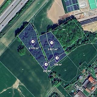 Prodej lesa 8720 m&sup2; Olbramice