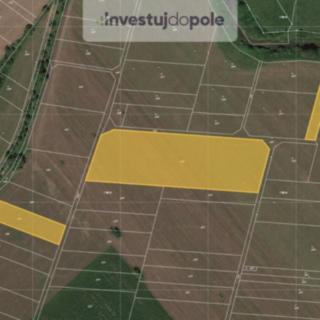 Prodej zemědělské půdy 3 382 m² Stará Ves nad Ondřejnicí Košatka