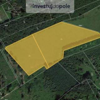 Prodej louky 16757 m&sup2; Velký Vřešťov