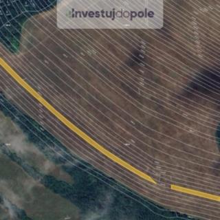 Prodej zemědělské půdy 6081 m&sup2; Popovice