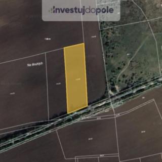 Prodej zemědělské půdy 3083 m&sup2; Nučice