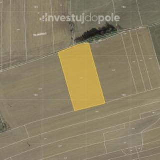 Prodej zemědělské půdy 9951 m&sup2; Buřenice