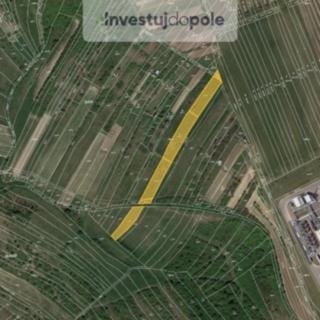 Prodej zemědělské půdy 4 046 m² Dambořice
