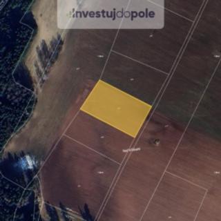 Prodej zemědělské půdy 2 642 m² Nová Ves nad Popelkou
