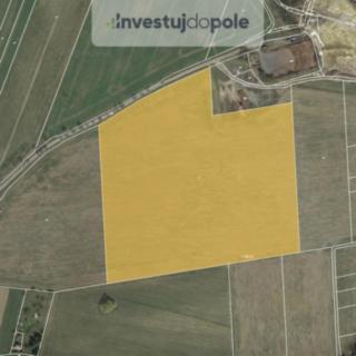 Prodej zemědělské půdy 68166 m² Černíny