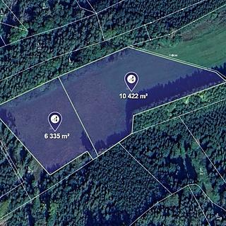 Prodej louky 16757 m&sup2; Velký Vřešťov