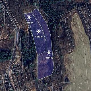 Prodej lesa 14620 m&sup2; Petrůvka