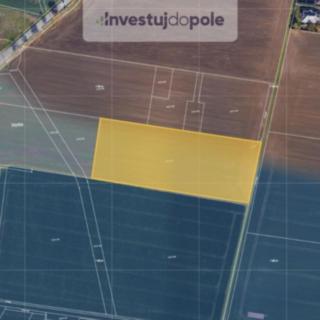 Prodej zemědělské půdy 12960 m² Moravany
