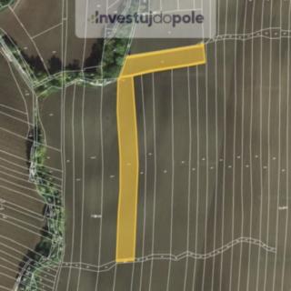 Prodej zemědělské půdy 8758 m&sup2; Mutějovice
