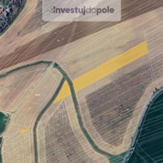 Prodej zemědělské půdy 8 970 m² Kostelec