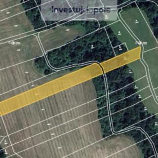 Prodej zemědělské půdy 4120 m&sup2; Doubravice nad Svitavou