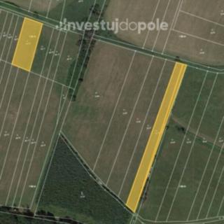 Prodej louky 2604 m&sup2; Kladruby nad Labem